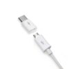 14261  Adaptador Tipo C